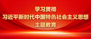 亚洲肏屄学习贯彻习近平新时代中国特色社会主义思想主题教育_fororder_ad-371X160(2)